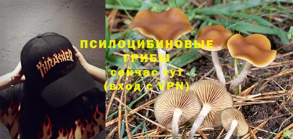 экстази Дмитриев
