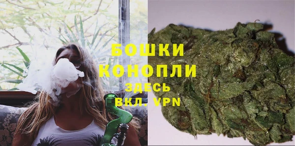 экстази Дмитриев