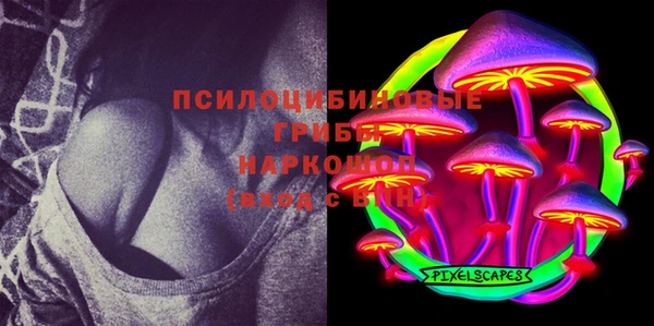 экстази Дмитриев
