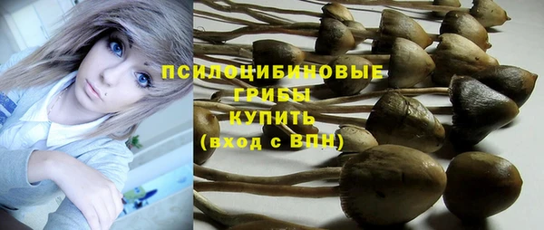 мескалин Дмитровск